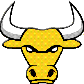bulls_logo_5.gif